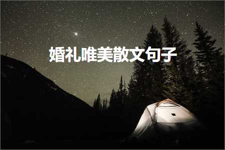 灏忚閲岄潰鍞編鍙ュ瓙锛堟枃妗?81鏉★級